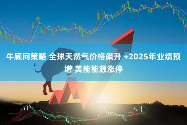 牛顾问策略 全球天然气价格飙升 +2025年业绩预增 美能能源涨停