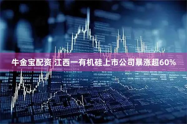 牛金宝配资 江西一有机硅上市公司暴涨超60%