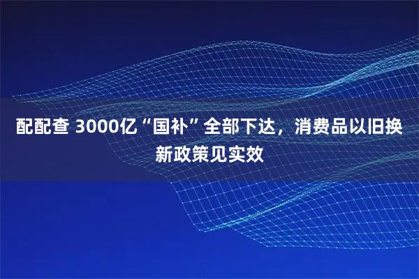 配配查 3000亿“国补”全部下达，消费品以旧换新政策见实效